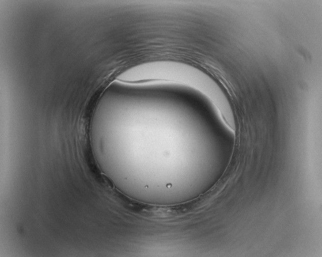 X0000116860121201001051432