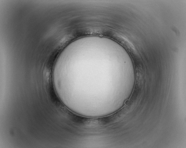 X0000116860123201001051432