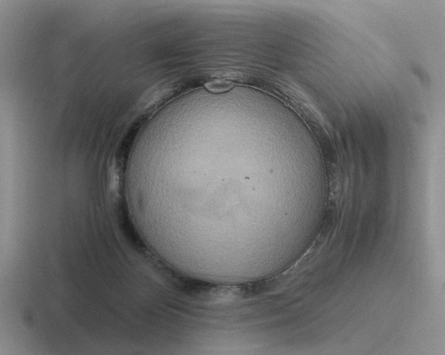 X0000116860124201001051432