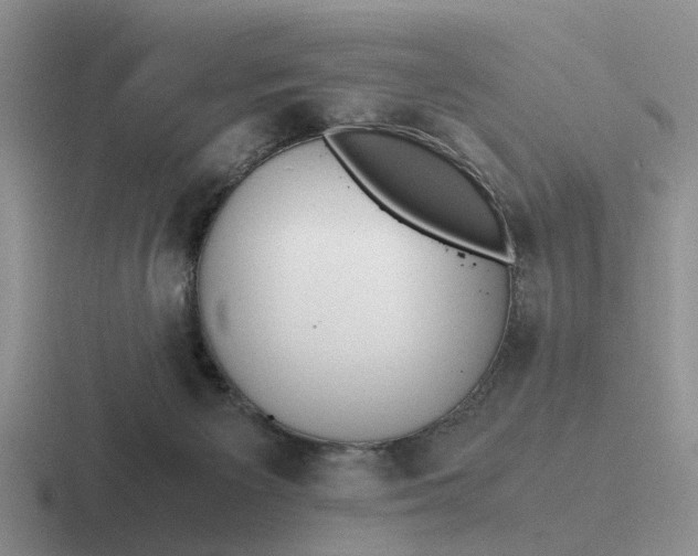 X0000116860125201001051432