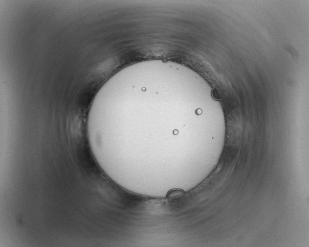 X0000116860126201001051432