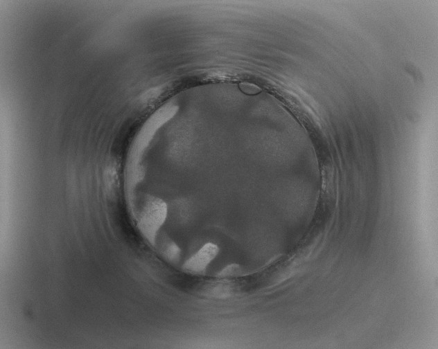 X0000116860127201001051432