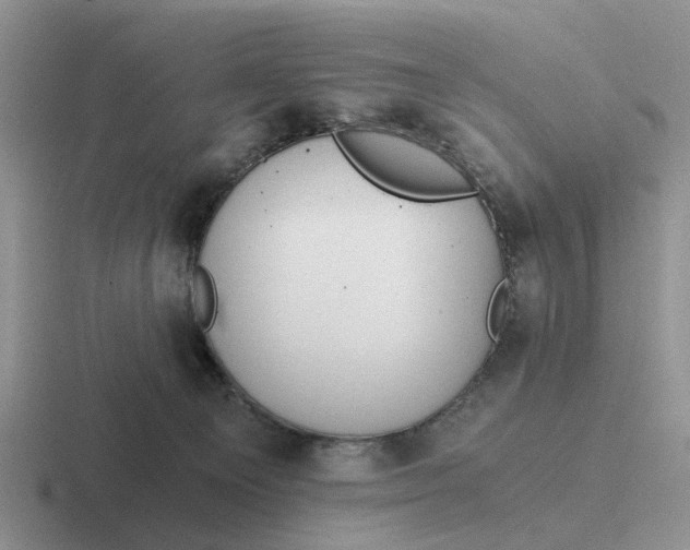 X0000116860129201001051432