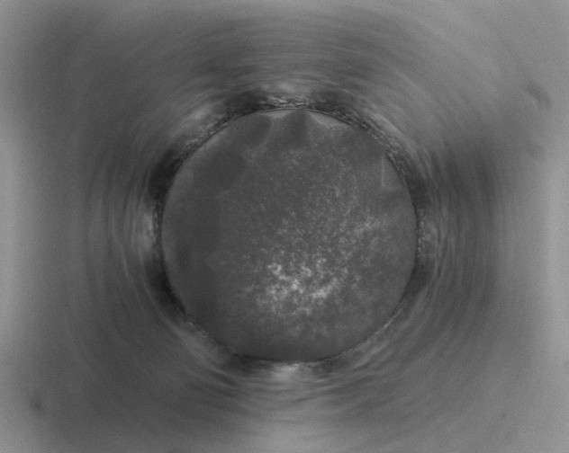 X0000116860130201001051432