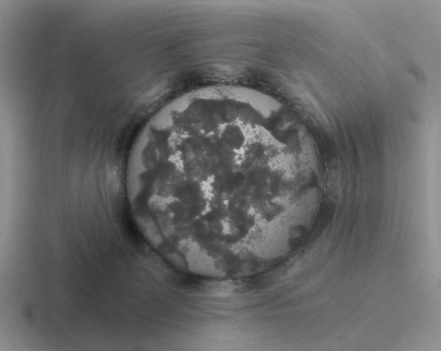 X0000116860131201001051432