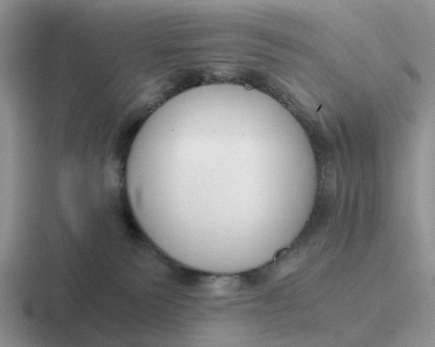 X0000116860135201001051432