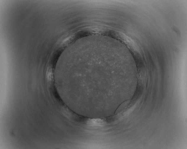 X0000116860137201001051432