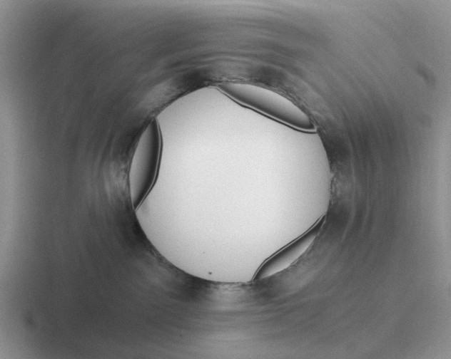 X0000116860141201001051432