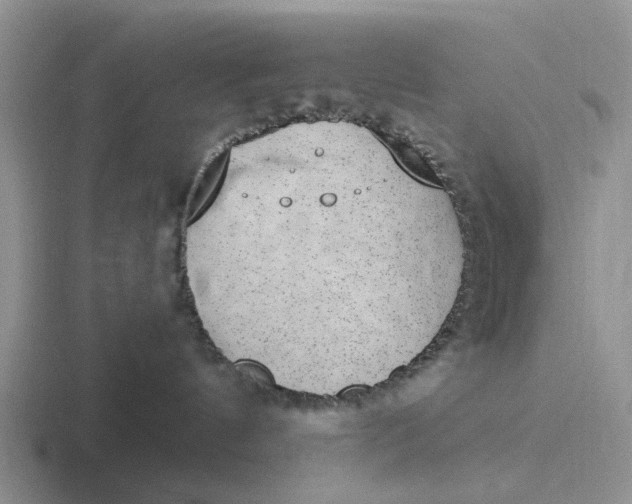 X0000116860144201001051432