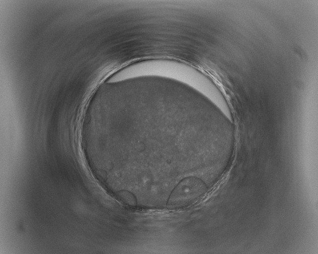 X0000116860145201001051431