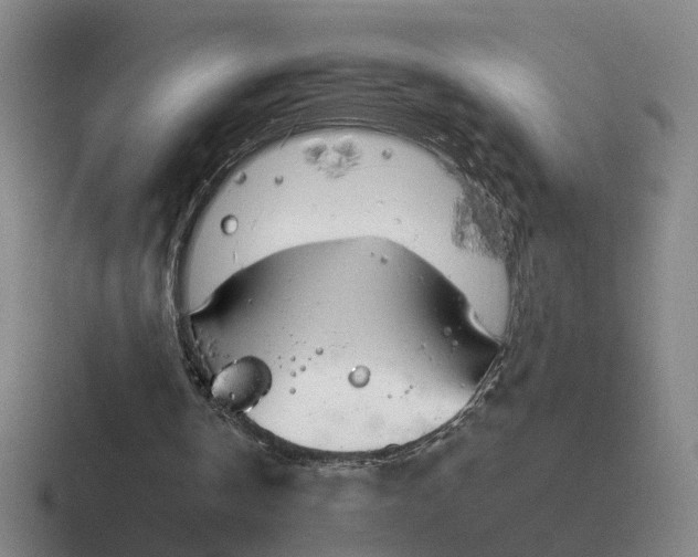 X0000116860146201001051431