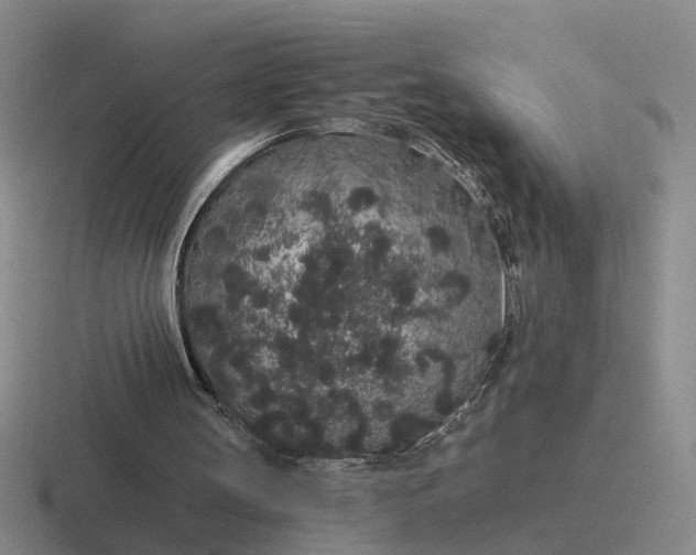 X0000116860147201001051431