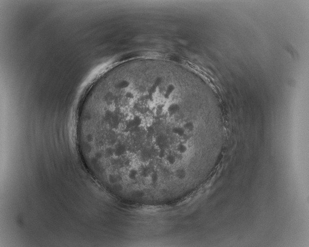 X0000116860149201001051431