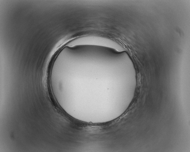 X0000116860150201001051431