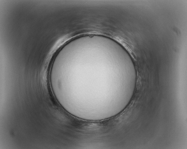 X0000116860151201001051431