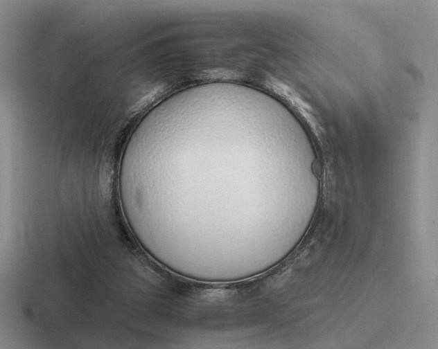 X0000116860153201001051431