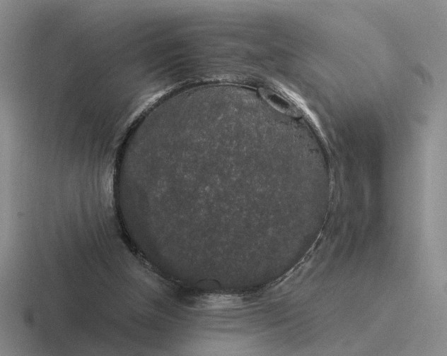 X0000116860154201001051431