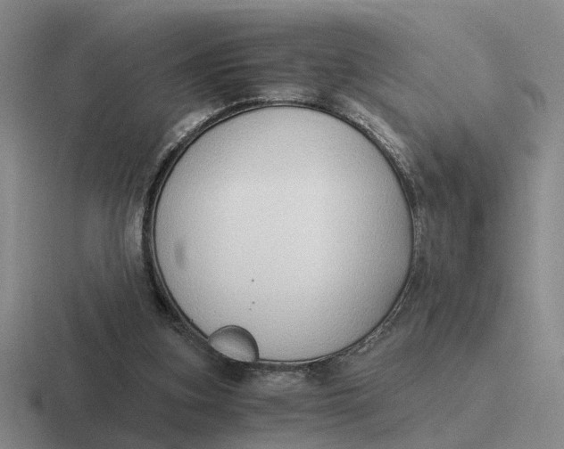 X0000116860155201001051431