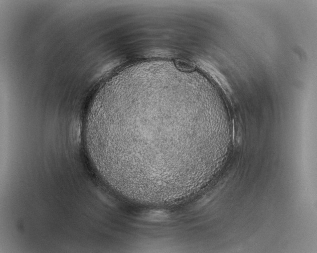 X0000116860157201001051431