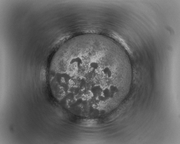 X0000116860161201001051431