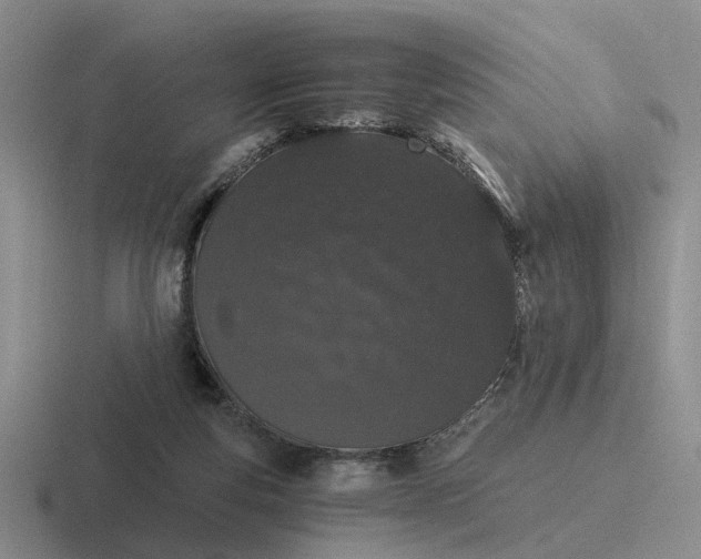 X0000116860163201001051431