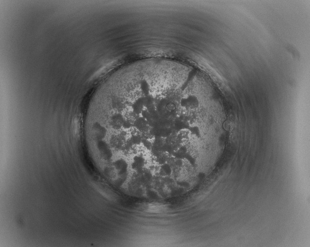 X0000116860165201001051432