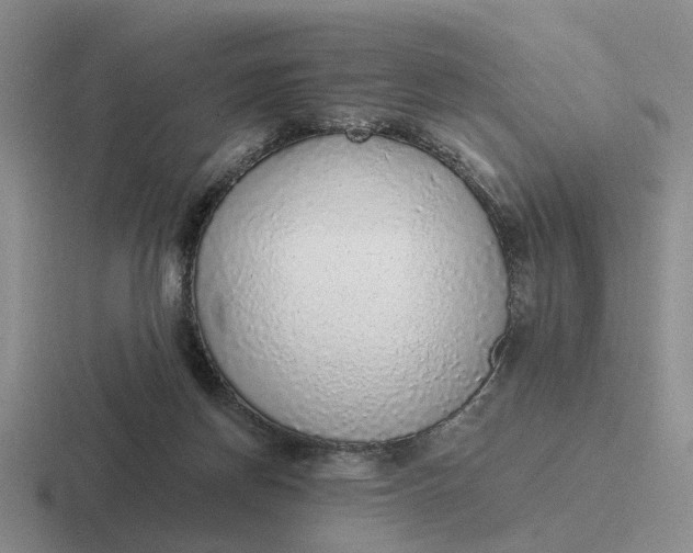 X0000116860166201001051432