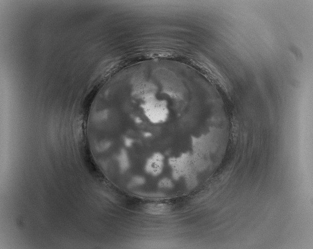 X0000116860169201001051432