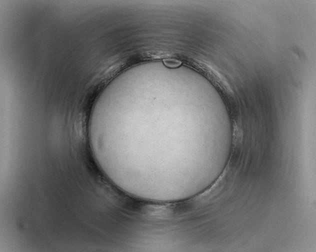 X0000116860170201001051432