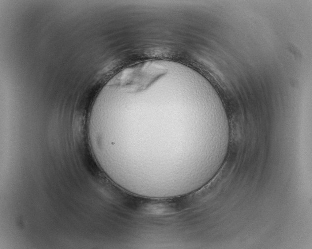 X0000116860171201001051432