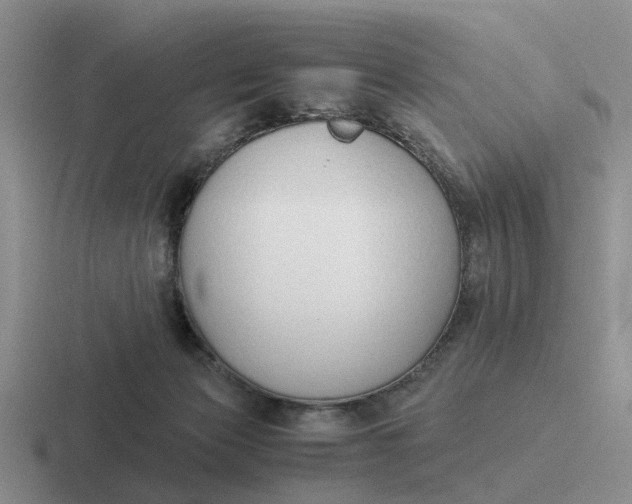 X0000116860173201001051432