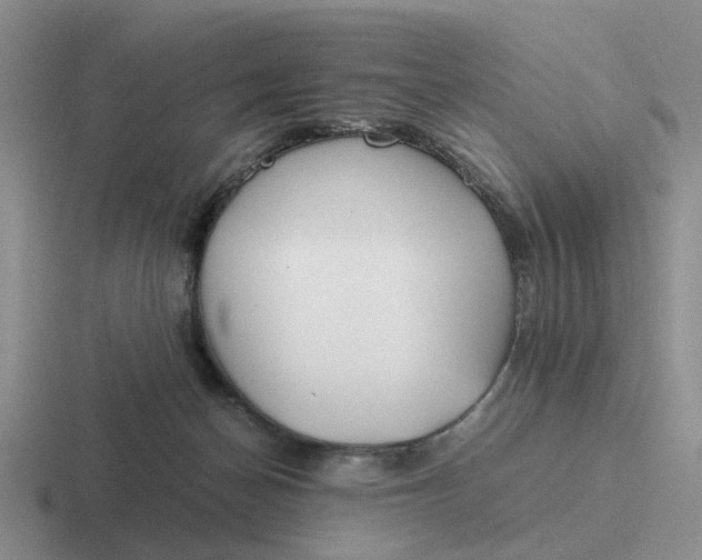 X0000116860174201001051432