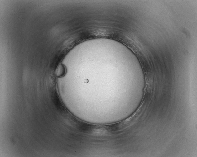 X0000116860175201001051432