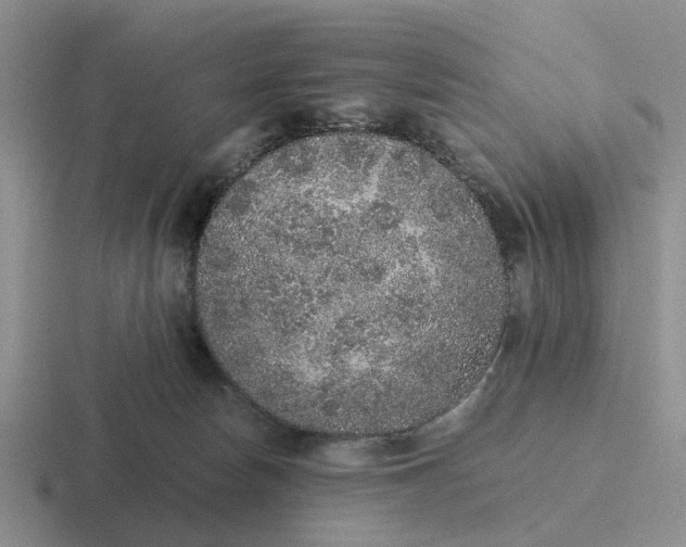 X0000116860178201001051432