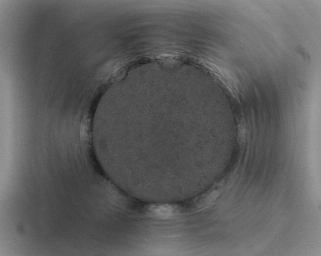 X0000116860181201001051432