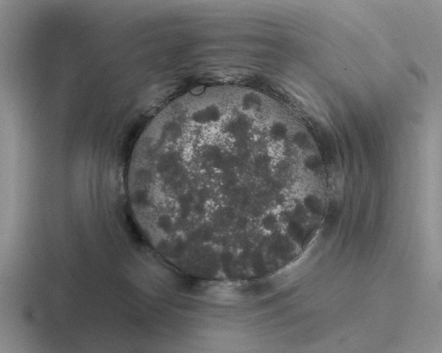 X0000116860182201001051432