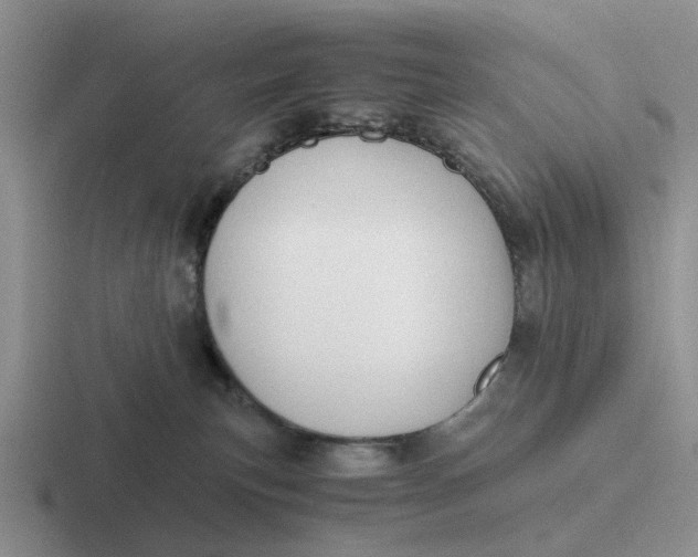 X0000116860183201001051432