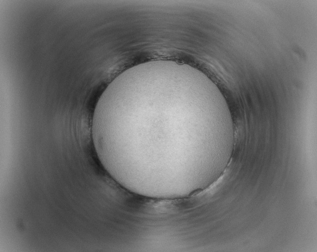 X0000116860186201001051432