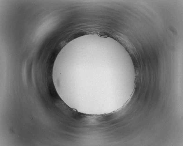 X0000116860190201001051432