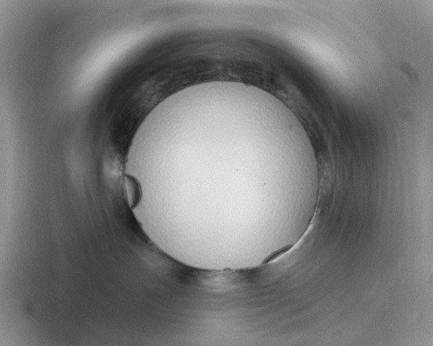 X0000116860191201001051432