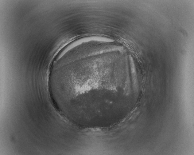 X0000116860194201001051431