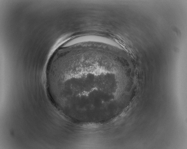 X0000116860198201001051431