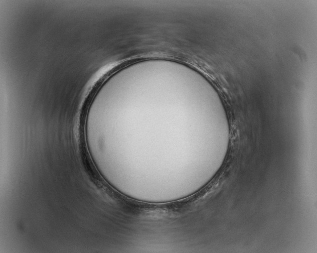 X0000116860200201001051431