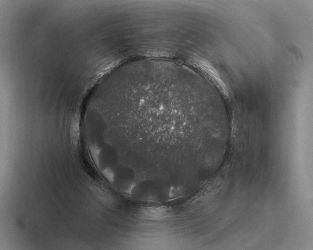 X0000116860202201001051431