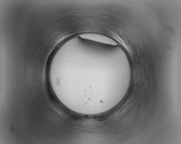 X0000116860203201001051431