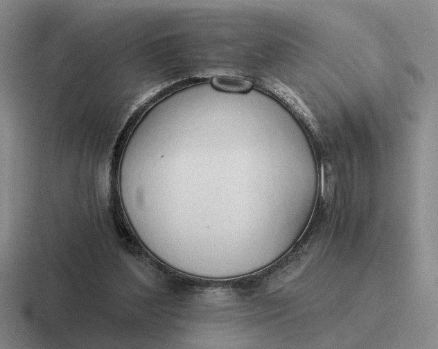 X0000116860204201001051431