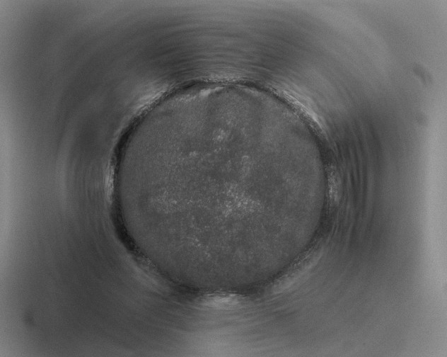 X0000116860206201001051431