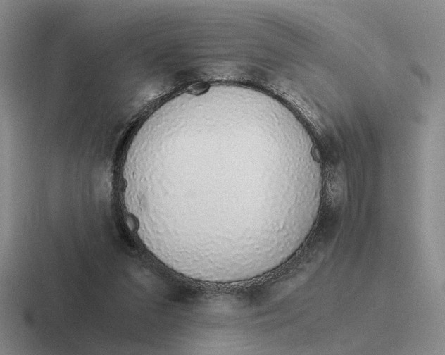 X0000116860207201001051431