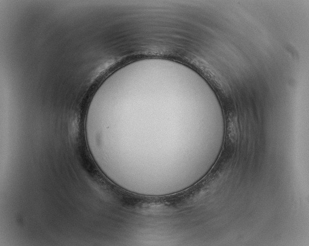 X0000116860208201001051431