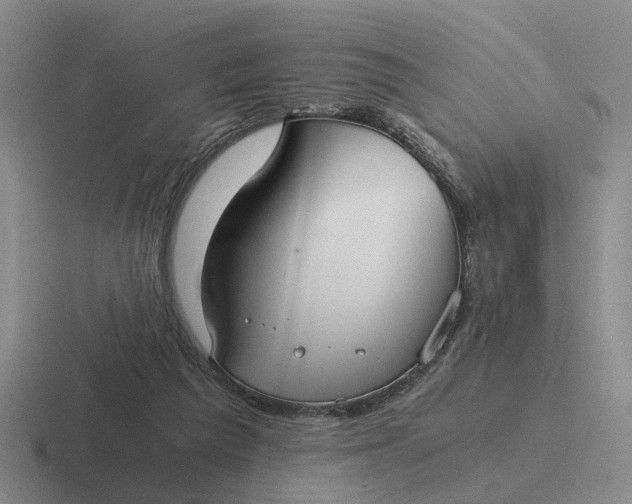 X0000116860209201001051431